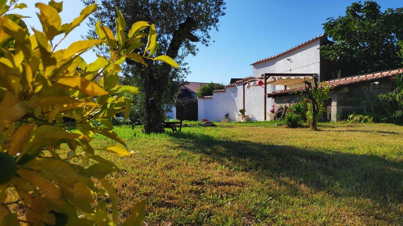 Louro'S Villa - 12130Al Cantanhede Exterior foto